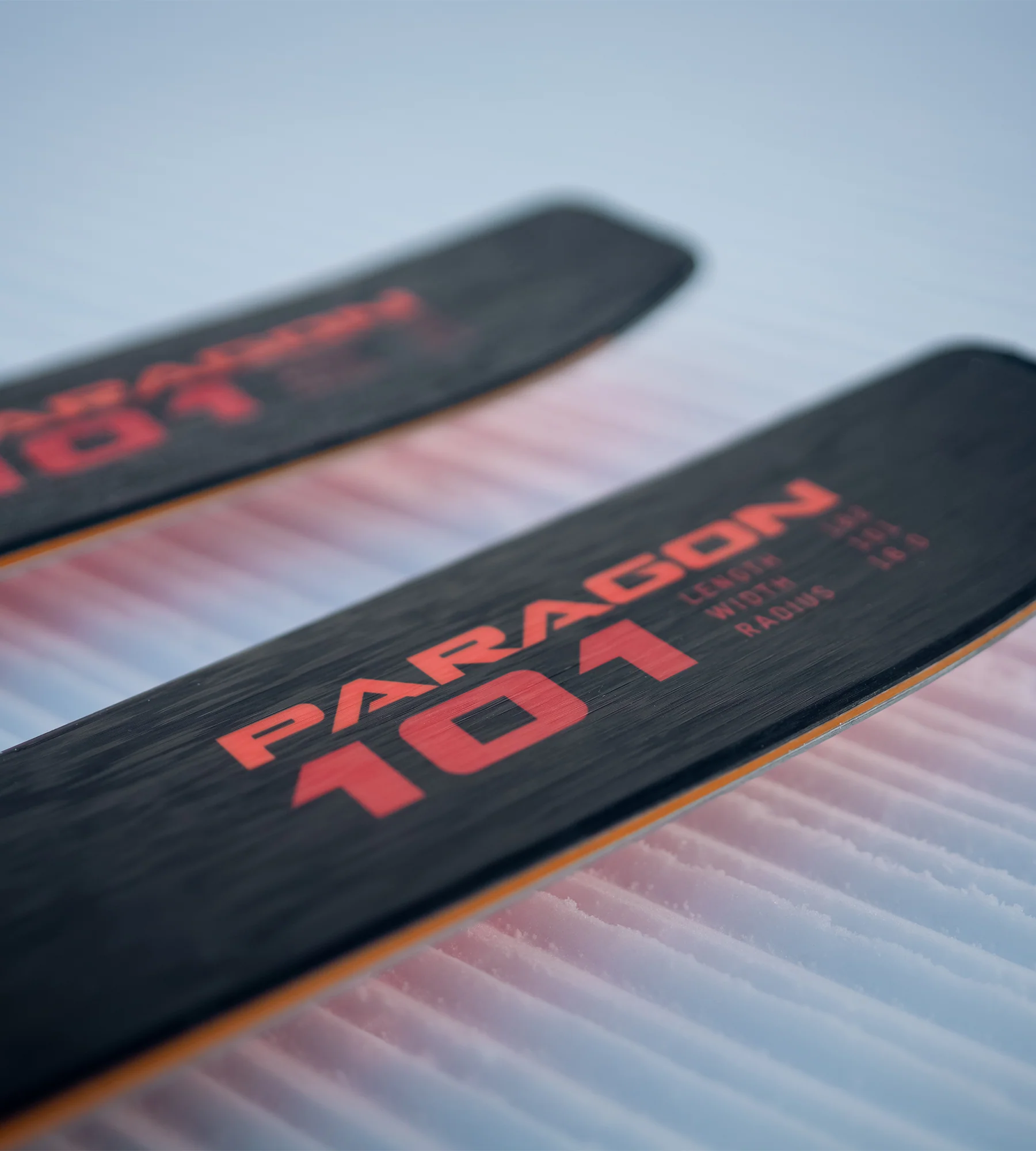PARAGON 101 - Image 6